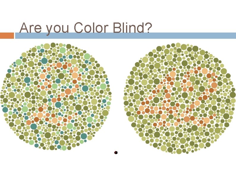 Are you Color Blind? 