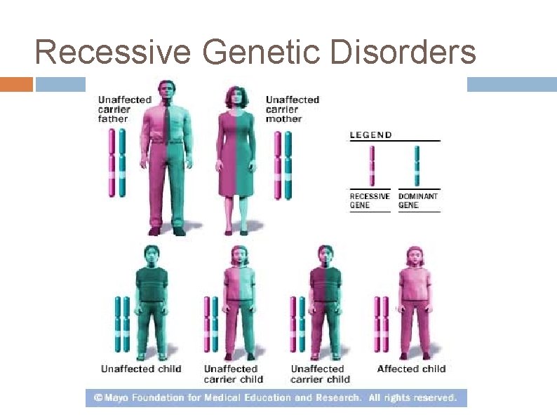 Recessive Genetic Disorders 