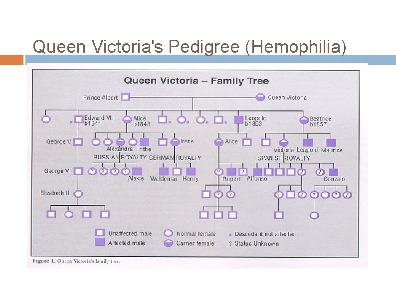 Queen Victoria's Pedigree (Hemophilia) 