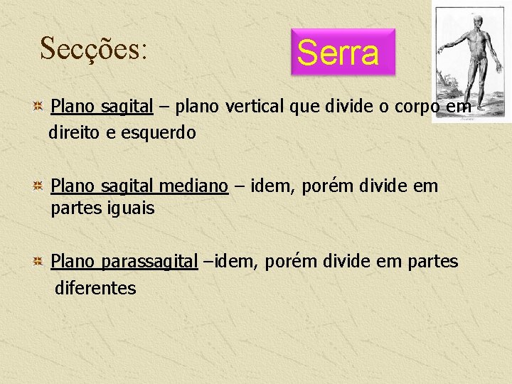 Secções: Serra Plano sagital – plano vertical que divide o corpo em direito e