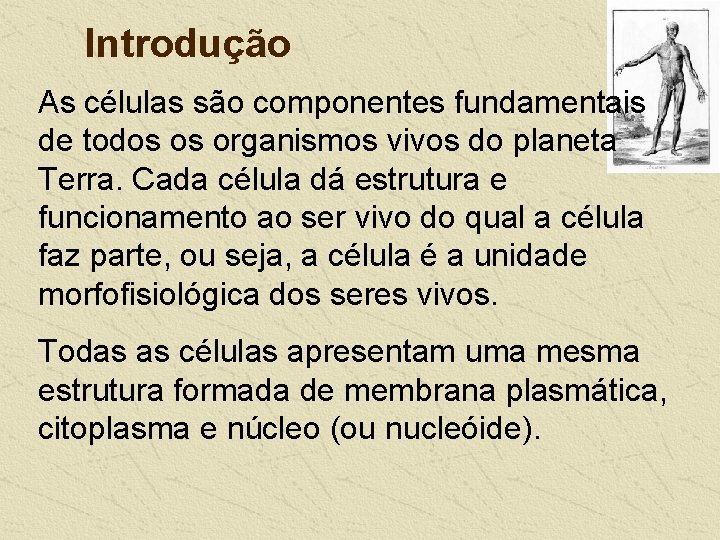 Introdução As células são componentes fundamentais de todos os organismos vivos do planeta Terra.