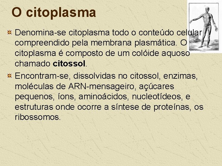 O citoplasma Denomina-se citoplasma todo o conteúdo celular compreendido pela membrana plasmática. O citoplasma