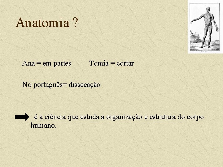 Anatomia ? Ana = em partes Tomia = cortar No português= dissecação é a