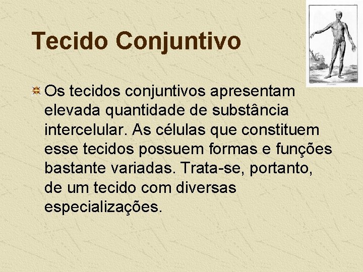 Tecido Conjuntivo Os tecidos conjuntivos apresentam elevada quantidade de substância intercelular. As células que