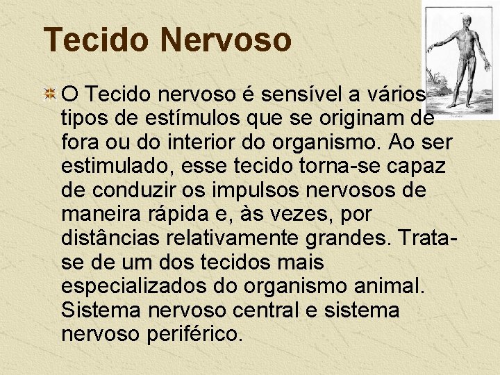 Tecido Nervoso O Tecido nervoso é sensível a vários tipos de estímulos que se