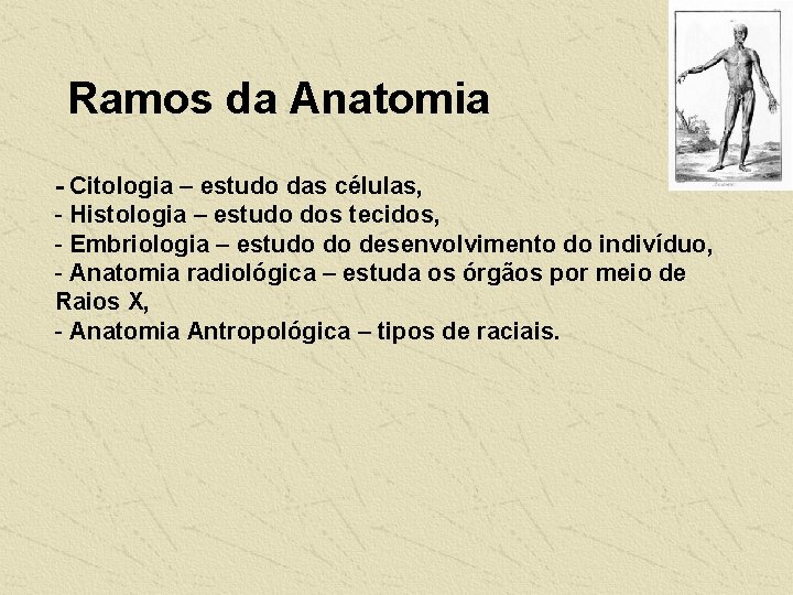 Ramos da Anatomia - Citologia – estudo das células, - Histologia – estudo dos