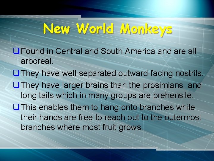 New World Monkeys q Found in Central and South America and are all arboreal.