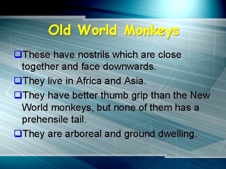 Old World Monkeys q. These have nostrils which are close together and face downwards.