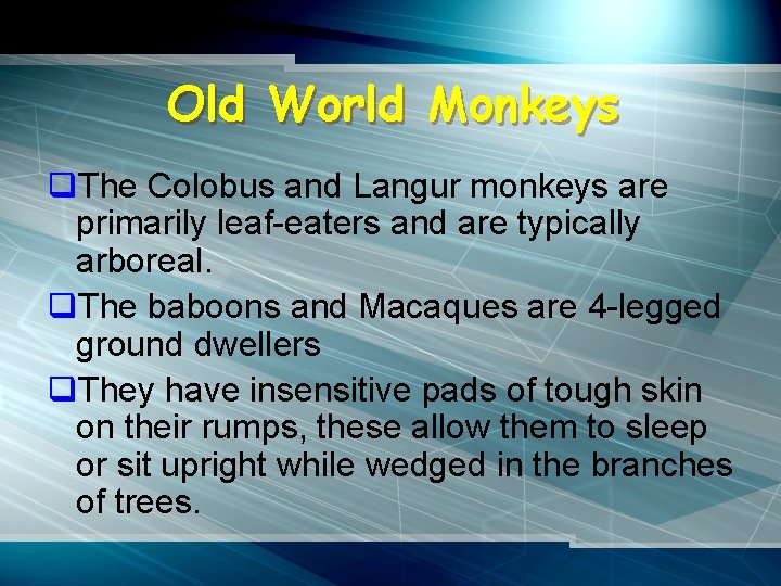 Old World Monkeys q. The Colobus and Langur monkeys are primarily leaf-eaters and are