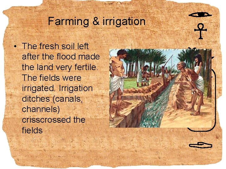 Farming & irrigation • The fresh soil left after the flood made the land