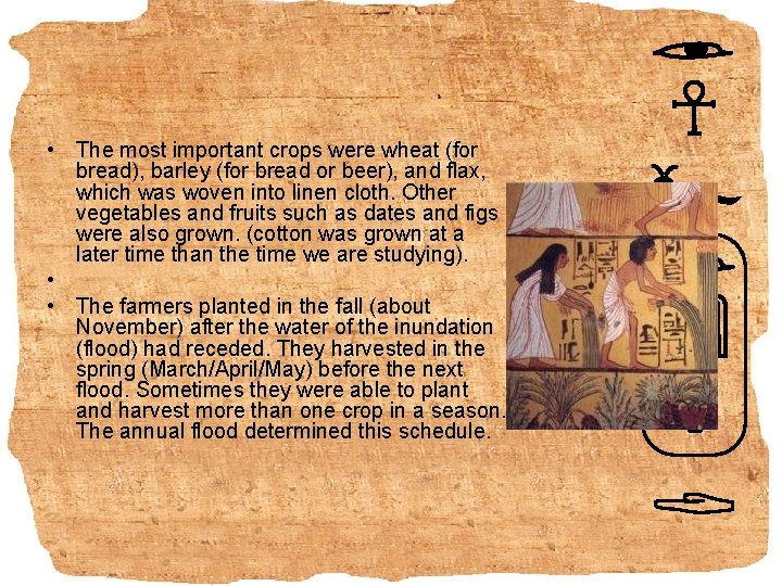  • The most important crops were wheat (for bread), barley (for bread or