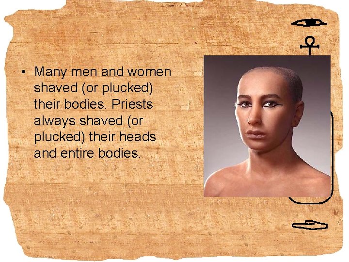  • Many men and women shaved (or plucked) their bodies. Priests always shaved