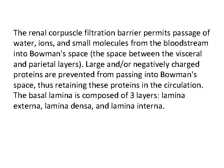 The renal corpuscle filtration barrier permits passage of water, ions, and small molecules from