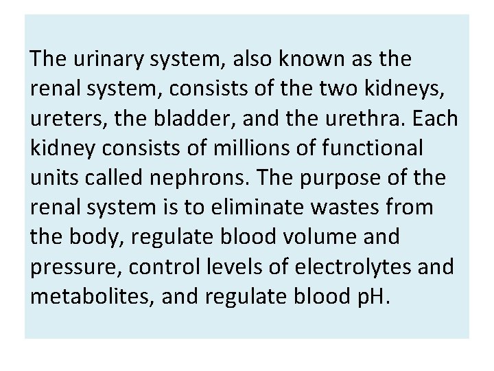 The urinary system, also known as the renal system, consists of the two kidneys,