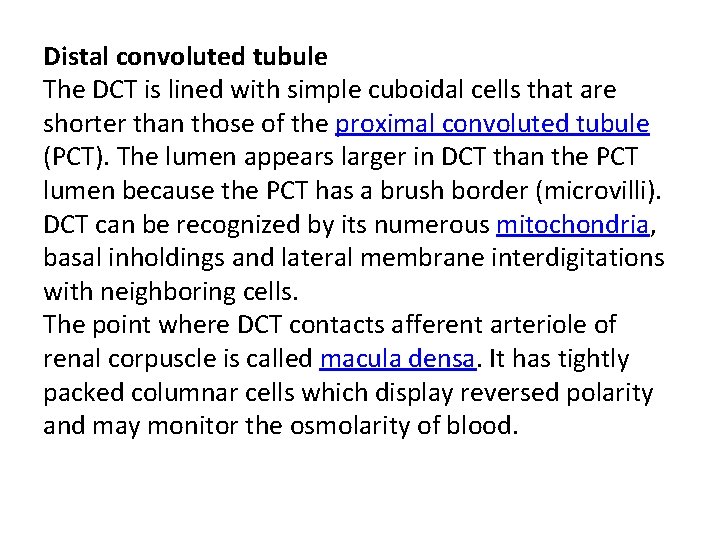 Distal convoluted tubule The DCT is lined with simple cuboidal cells that are shorter