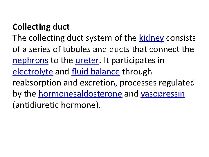 Collecting duct The collecting duct system of the kidney consists of a series of