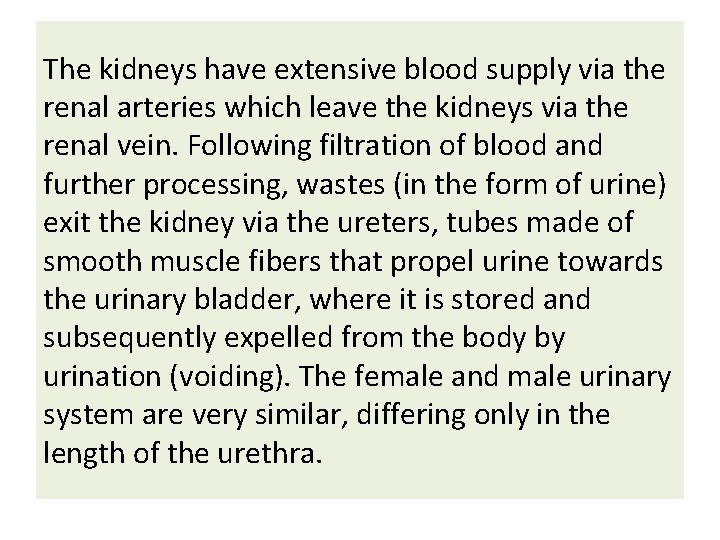 The kidneys have extensive blood supply via the renal arteries which leave the kidneys