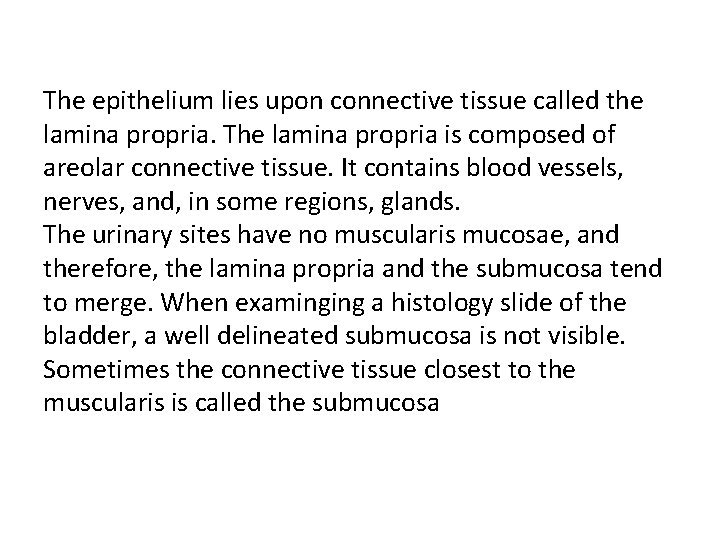 The epithelium lies upon connective tissue called the lamina propria. The lamina propria is