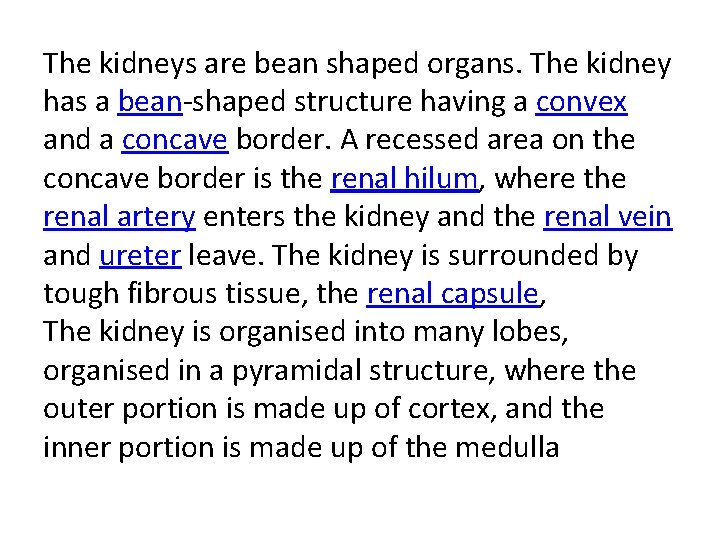 The kidneys are bean shaped organs. The kidney has a bean-shaped structure having a