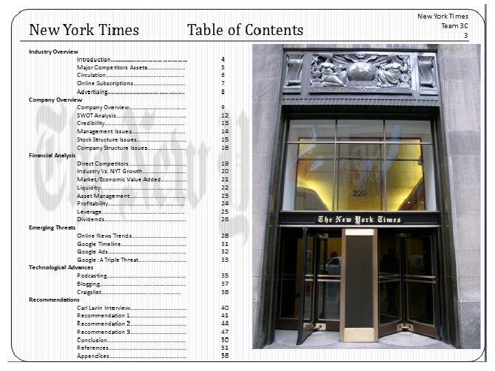 Schematic Style Professional Reports © Robert Heckman 