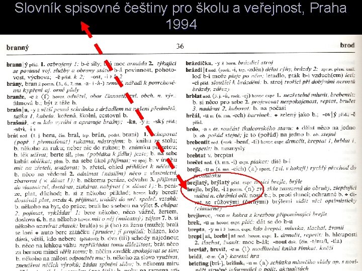 Slovník spisovné češtiny pro školu a veřejnost, Praha 1994 