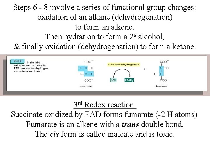 Steps 6 - 8 involve a series of functional group changes: oxidation of an Steps 6 - 8 involve a series of functional group changes: oxidation of an