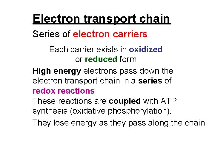 Electron transport chain Series of electron carriers Each carrier exists in oxidized or reduced Electron transport chain Series of electron carriers Each carrier exists in oxidized or reduced