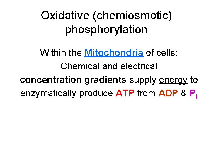 Oxidative (chemiosmotic) phosphorylation Within the Mitochondria of cells: Chemical and electrical concentration gradients supply Oxidative (chemiosmotic) phosphorylation Within the Mitochondria of cells: Chemical and electrical concentration gradients supply
