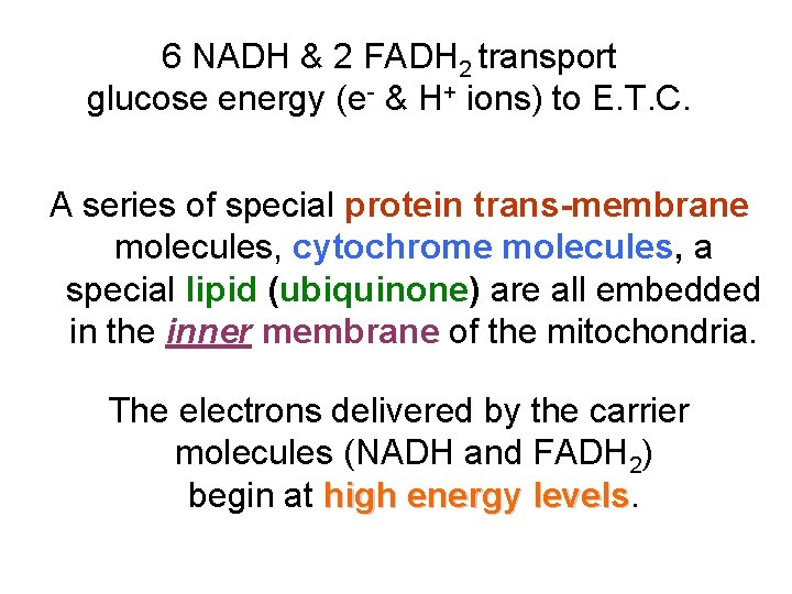 6 NADH & 2 FADH 2 transport glucose energy (e- & H+ ions) to 6 NADH & 2 FADH 2 transport glucose energy (e- & H+ ions) to