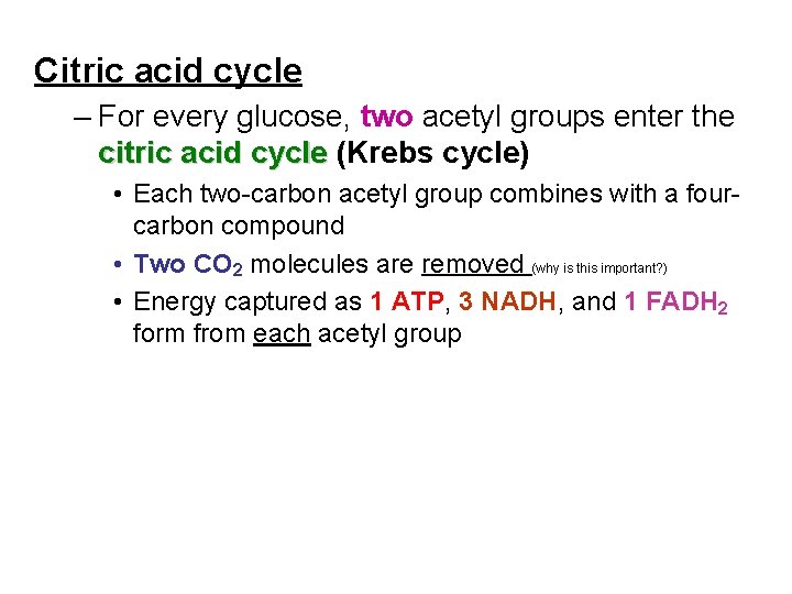 Citric acid cycle – For every glucose, two acetyl groups enter the citric acid Citric acid cycle – For every glucose, two acetyl groups enter the citric acid