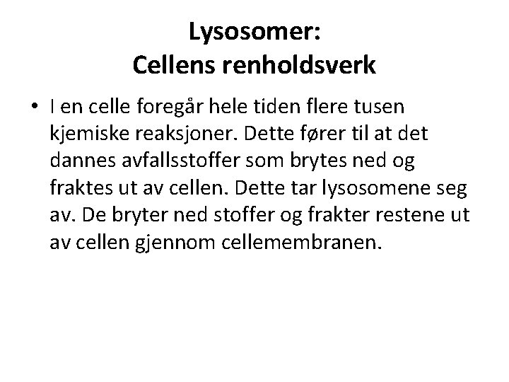 Lysosomer: Cellens renholdsverk • I en celle foregår hele tiden flere tusen kjemiske reaksjoner.
