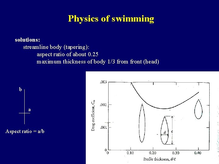 Physics of swimming solutions: streamline body (tapering): aspect ratio of about 0. 25 maximum