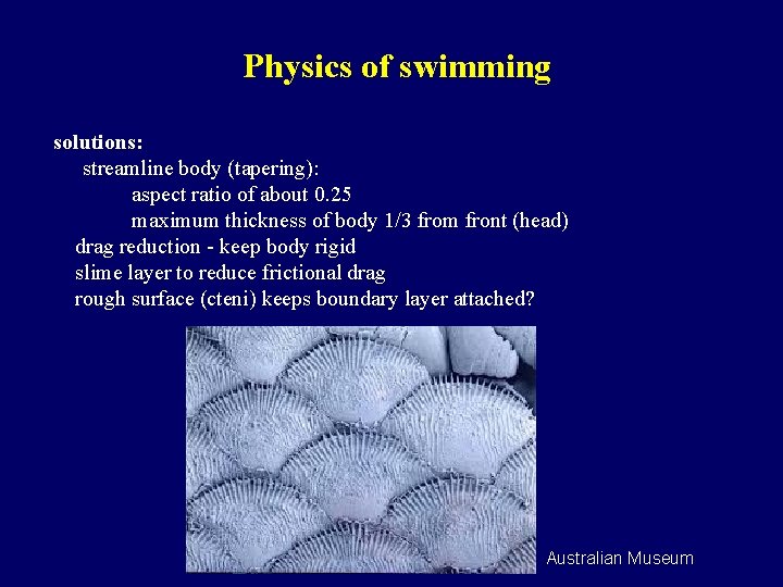 Physics of swimming solutions: streamline body (tapering): aspect ratio of about 0. 25 maximum