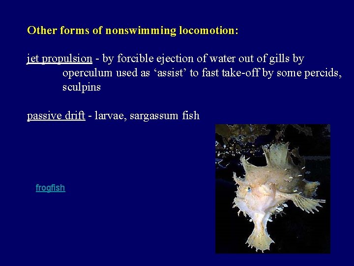 Other forms of nonswimming locomotion: jet propulsion - by forcible ejection of water out