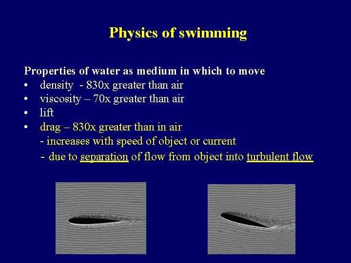 Physics of swimming Properties of water as medium in which to move • density