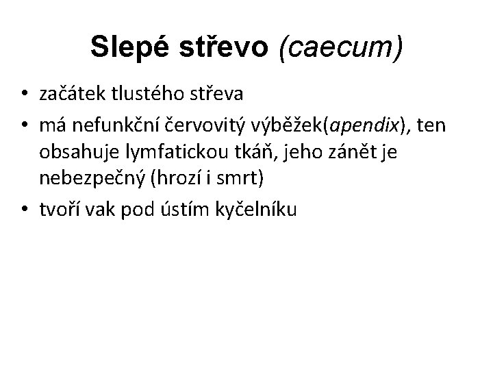 Slepé střevo (caecum) • začátek tlustého střeva • má nefunkční červovitý výběžek(apendix), ten obsahuje