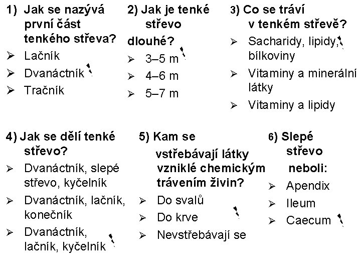 1) Jak se nazývá první část tenkého střeva? Ø Lačník Ø Dvanáctník Ø Tračník