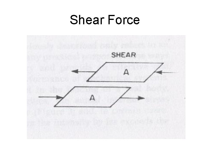 Shear Force 