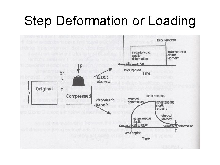 Step Deformation or Loading Step Deformation or Loading