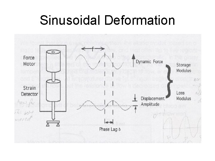 Sinusoidal Deformation Sinusoidal Deformation