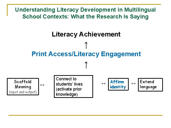 Understanding Literacy Development in Multilingual School Contexts: What the Research Is Saying Literacy Achievement