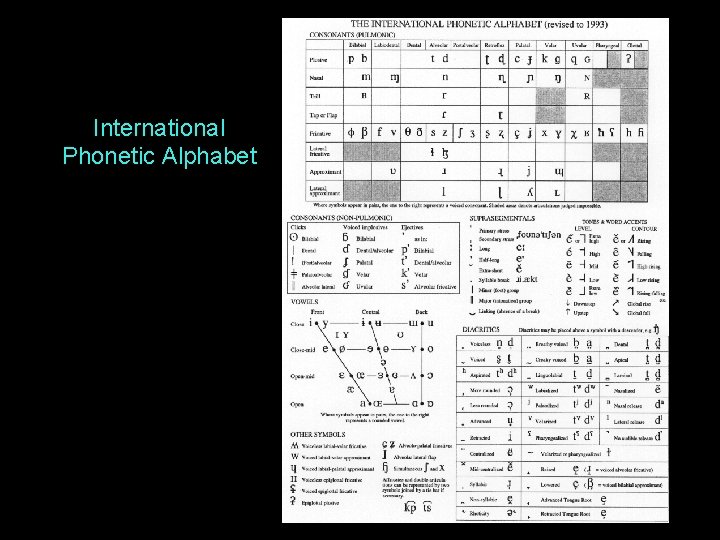 International Phonetic Alphabet 