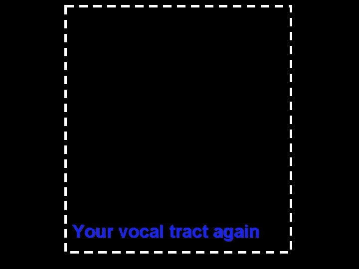 Your vocal tract again 