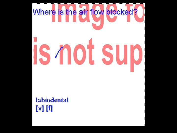 Where is the air flow blocked? labiodental [v] [f] 