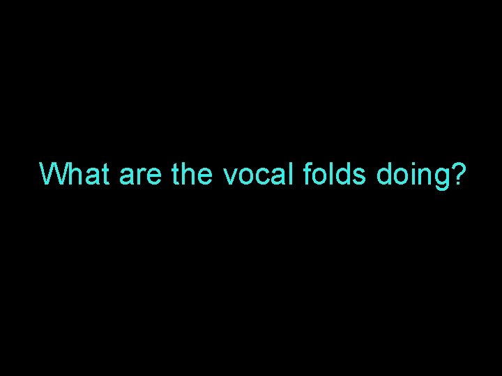 What are the vocal folds doing? 