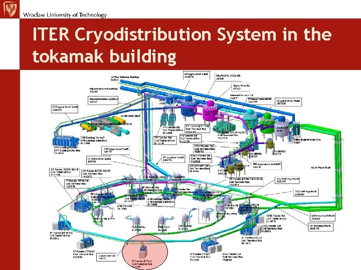 ITER Cryodistribution System in the tokamak building 