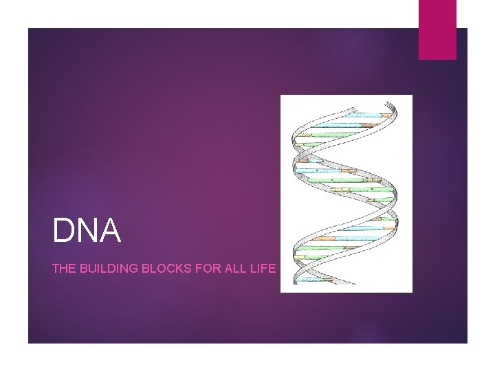 DNA THE BUILDING BLOCKS FOR ALL LIFE 