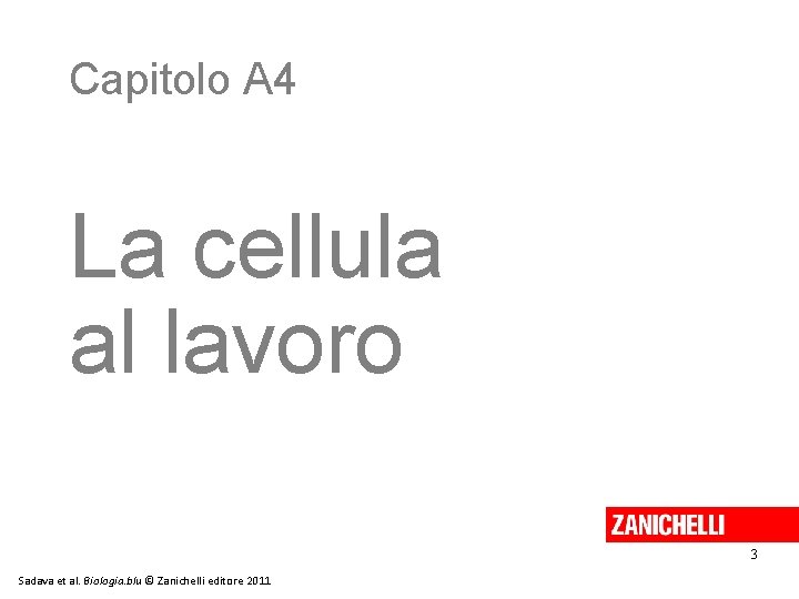 Capitolo A 4 La cellula al lavoro 3 Sadava et al. Biologia. blu ©