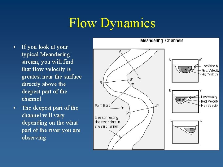 Flow Dynamics • If you look at your typical Meandering stream, you will find