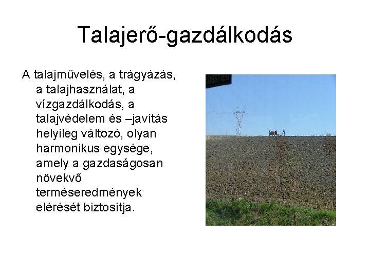 Talajerő-gazdálkodás A talajművelés, a trágyázás, a talajhasználat, a vízgazdálkodás, a talajvédelem és –javítás helyileg Talajerő-gazdálkodás A talajművelés, a trágyázás, a talajhasználat, a vízgazdálkodás, a talajvédelem és –javítás helyileg